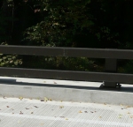 Bridge rail with TGIC polyester powder coating.